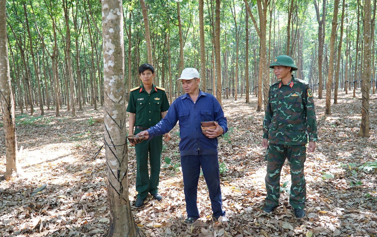 Đảng bộ huyện Ia H’Drai: Phát huy vai trò lãnh đạo phát triển kinh tế - xã hội