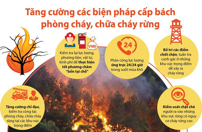 Tăng cường công tác quản lý, bảo vệ và phát triển rừng và phòng cháy, chữa cháy rừng trên địa bàn huyện