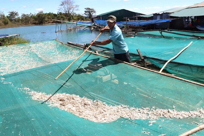 Tết ấm của ngư dân làng chài trên núi