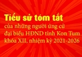 Tiểu sử tóm tắt của những người ứng cử đại biểu HĐND tỉnh Kon Tum khóa XII, nhiệm kỳ 2021-2026