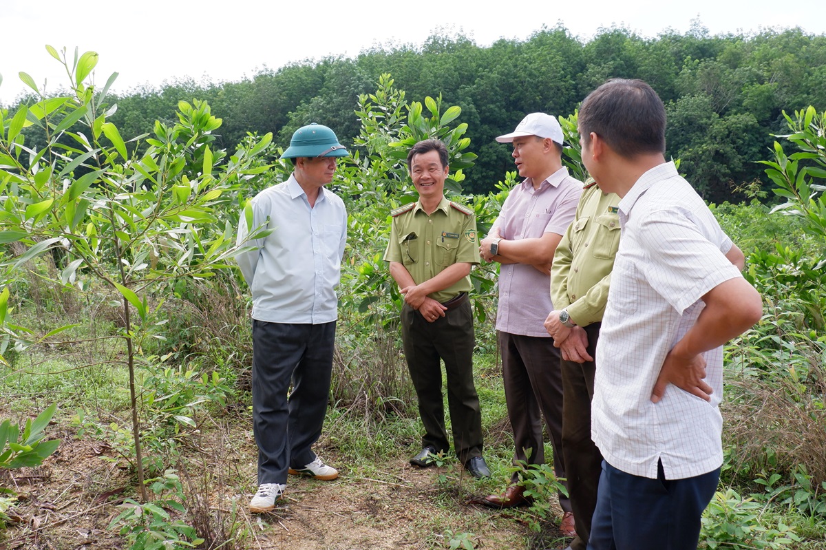 Phó Chủ tịch UBND tỉnh Nguyễn Hữu Tháp làm việc với UBND huyện Ia H’Drai