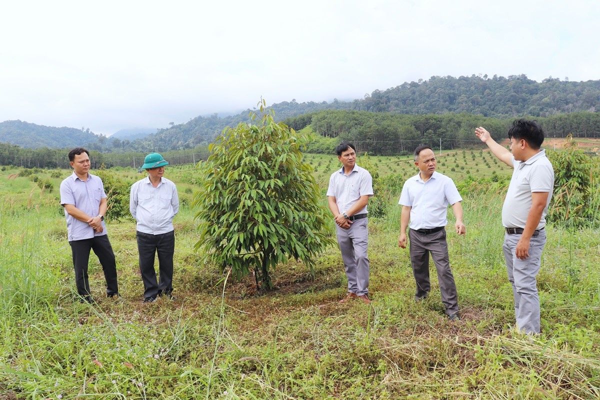 Phó Chủ tịch UBND tỉnh Nguyễn Hữu Tháp làm việc tại huyện Ia H’Drai