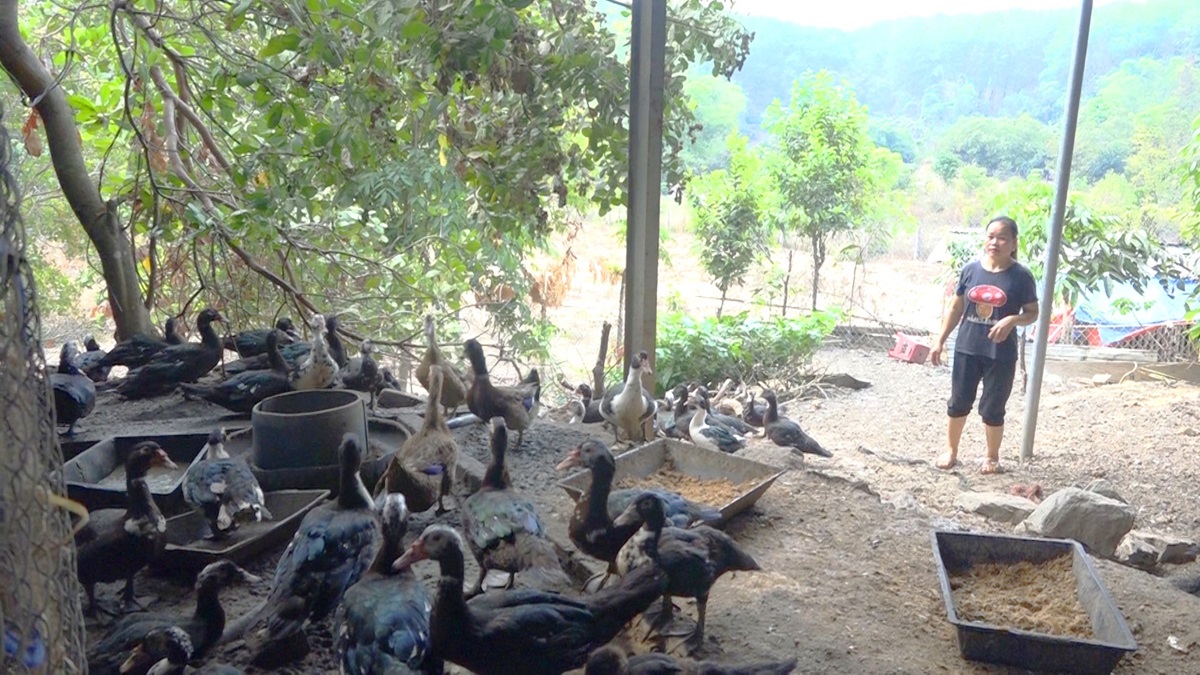 Ia H’Drai: Tích cực làm thay đổi nếp nghĩ, cách làm của đồng bào dân tộc thiểu số
