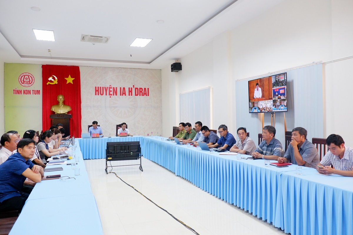 Phiên họp trực tuyến UBND tỉnh với các địa phương triển khai nhiệm vụ các tháng cuối năm 2024