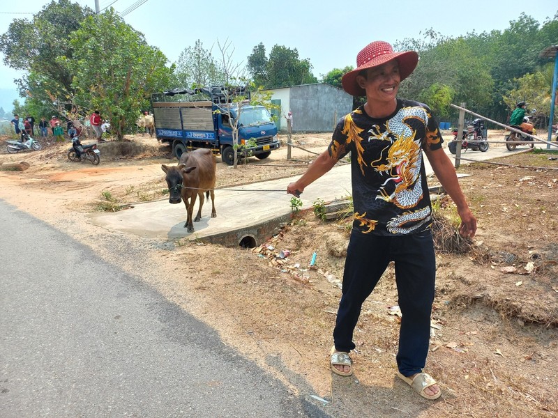 Trao bò cho các hộ nghèo vùng biên Kon Tum