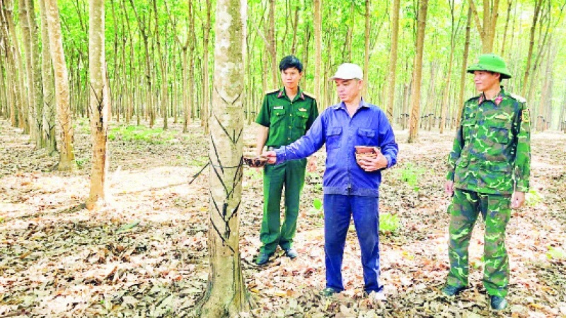 Chung tay xây dựng Ia H’Drai giàu đẹp