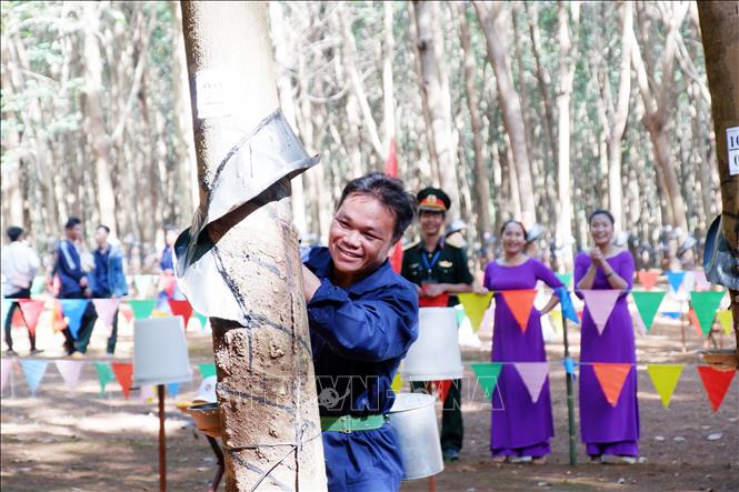 Vùng cao biên giới vượt thử thách trở thành điểm sáng kinh tế