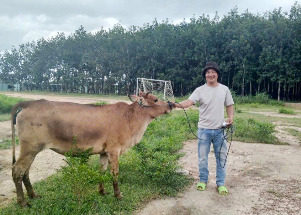 Ia Đal: Bàn giao bò cái sinh sản thuộc Dự án 2, Chương trình MTQG giảm nghèo bền vững năm 2024