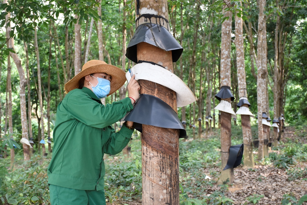 Tấm gương nữ công nhân vượt khó, vươn lên phát triển kinh tế