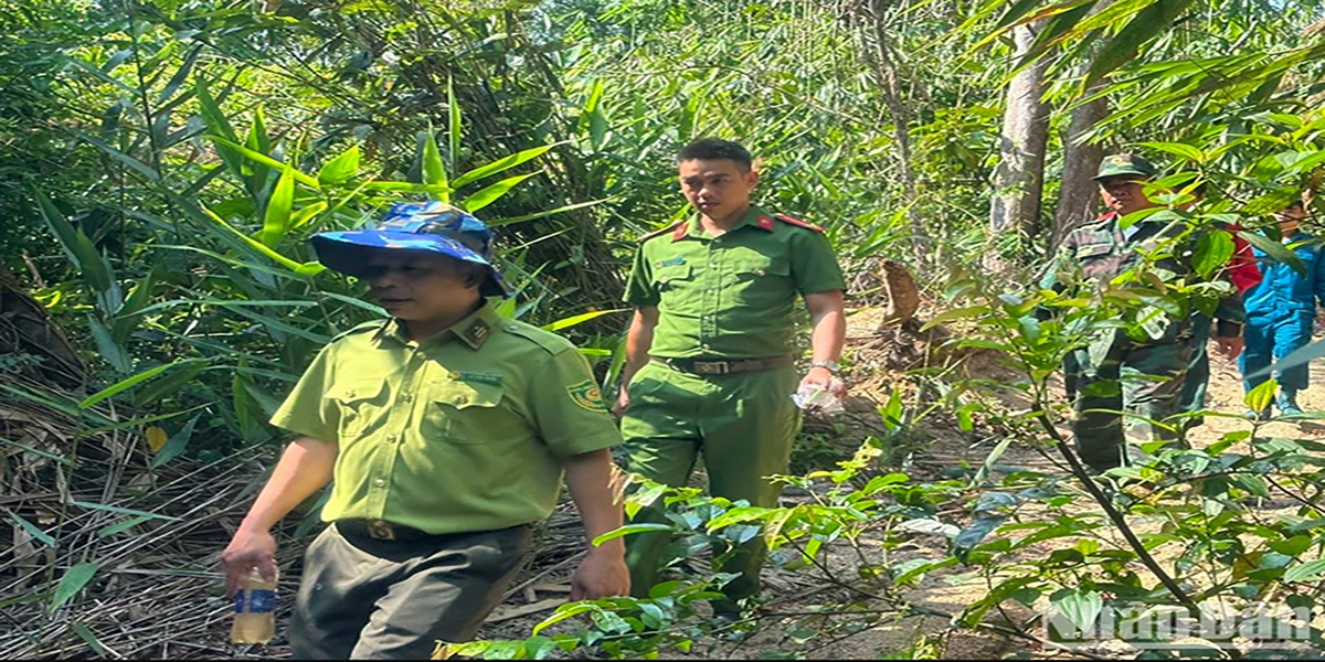 Nỗ lực bảo vệ và phát triển rừng nơi biên giới Ia H'Drai