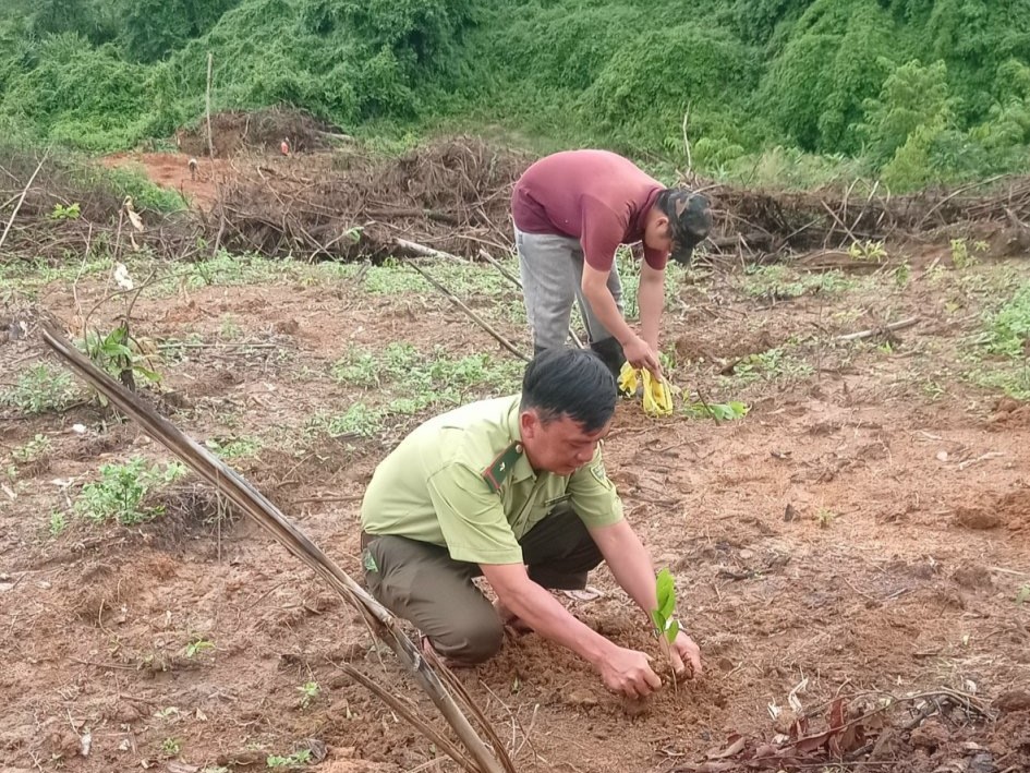 Ia H’Drai: Điểm sáng trong công tác trồng rừng